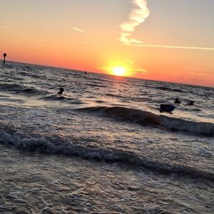 Meet your Posher, Joanice